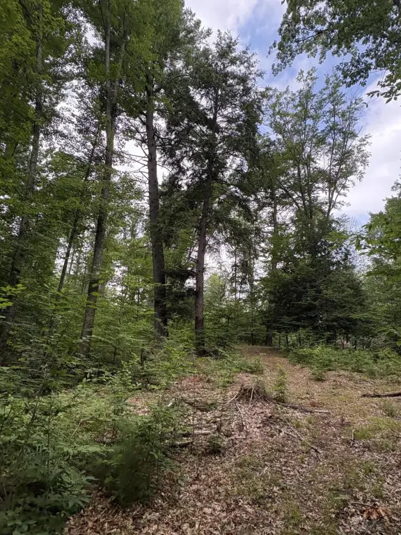 Picture 41
