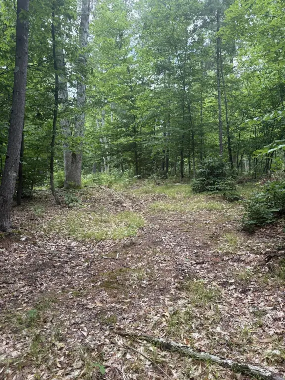 Picture 35