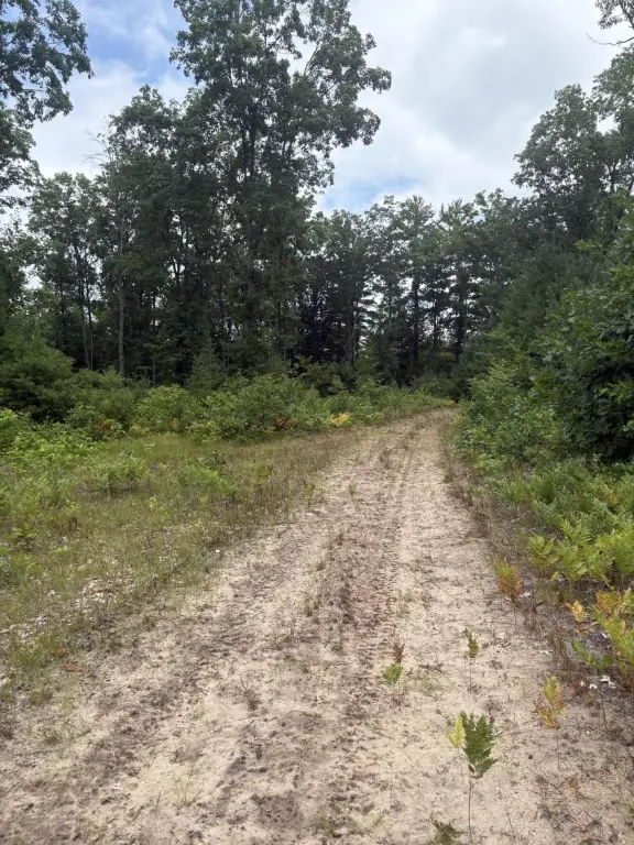 Picture 93