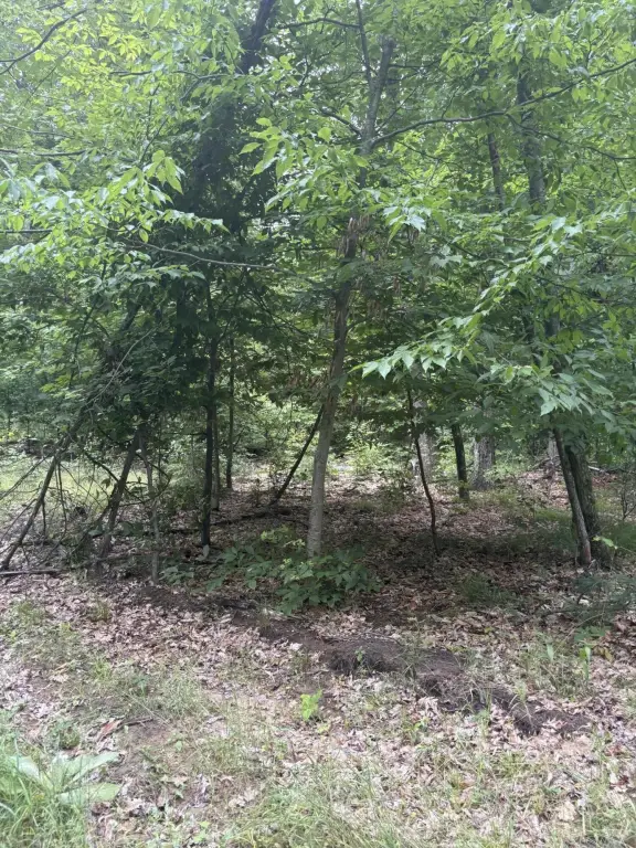 Picture 13