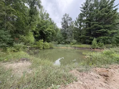 Wooded Land with Creek