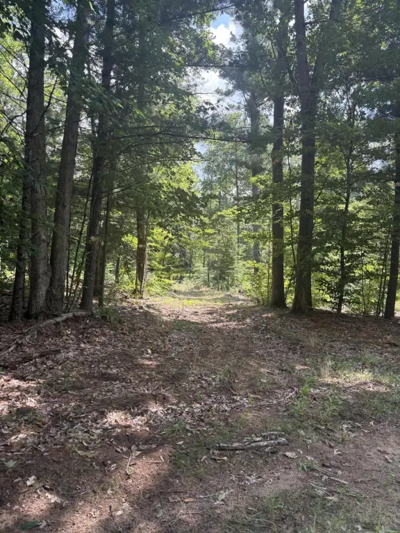 Picture 146
