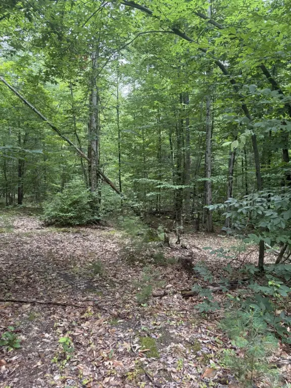 Picture 28