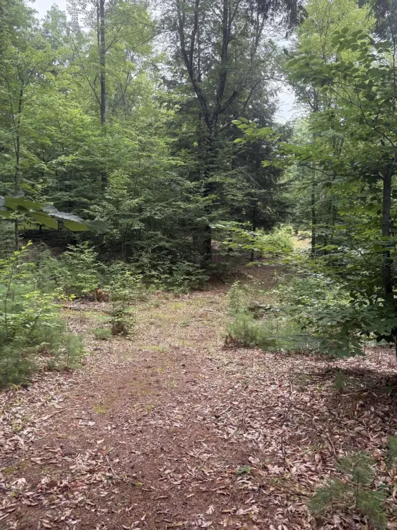 Picture 16