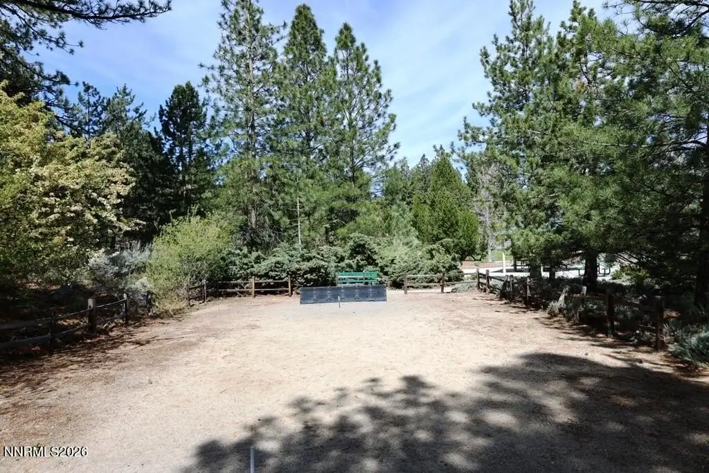 Picture 20