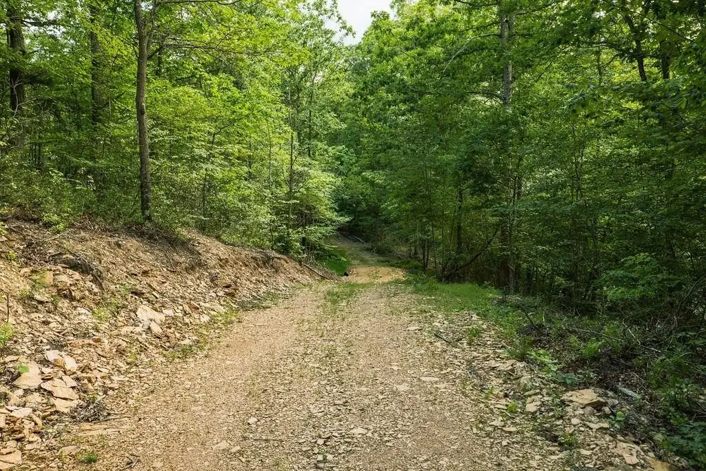 Picture 29