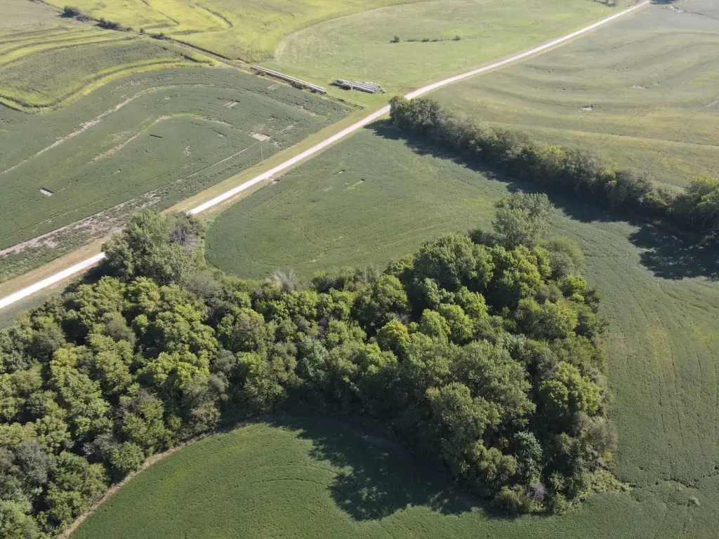 Picture 17
