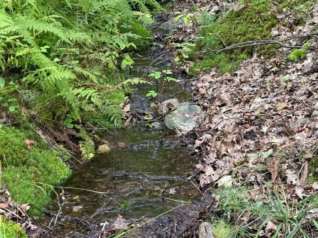 Picture 8