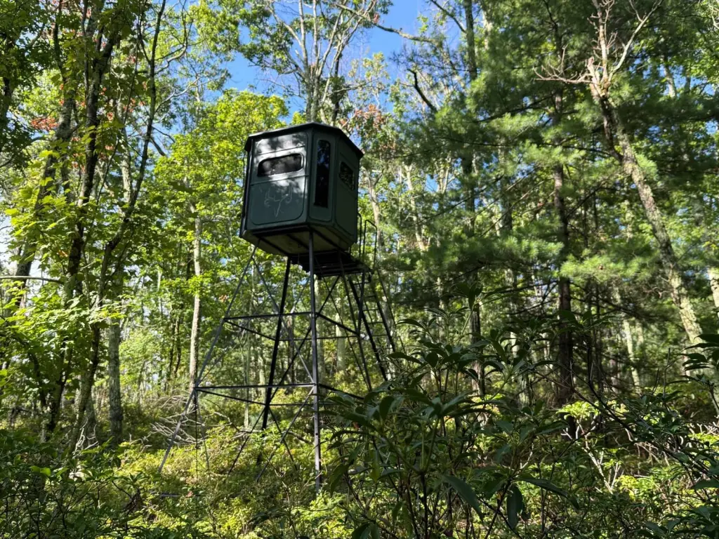 Picture 43