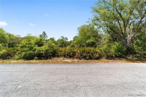 Crystal River Residential Land For Sale