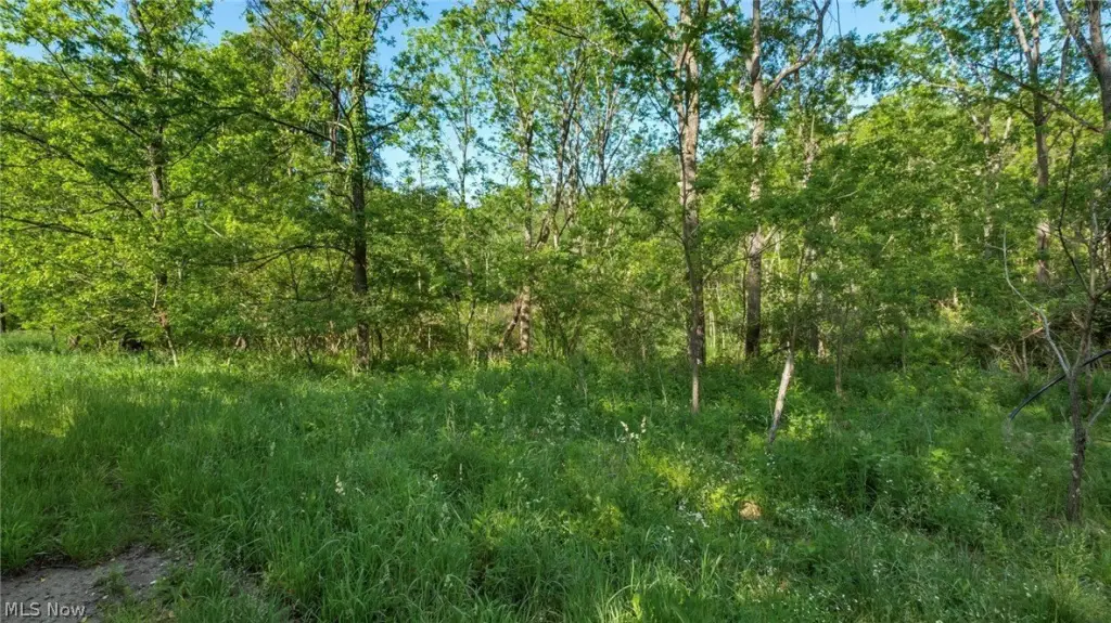 Picture 15