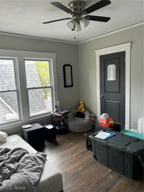 Picture 19