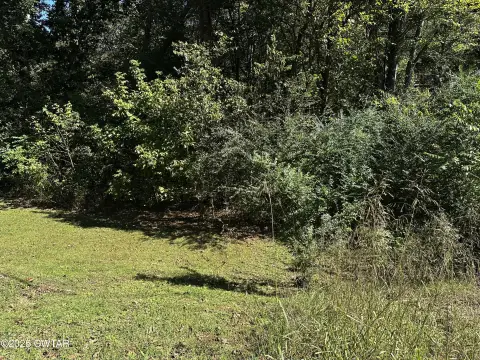 Undeveloped Land Near Downtown Jackson