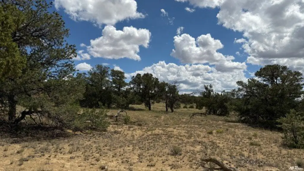 Picture 24