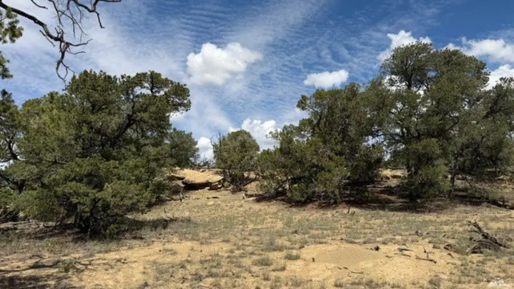 Picture 25