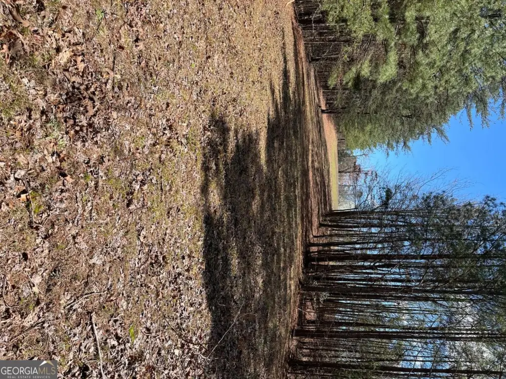 Picture 23