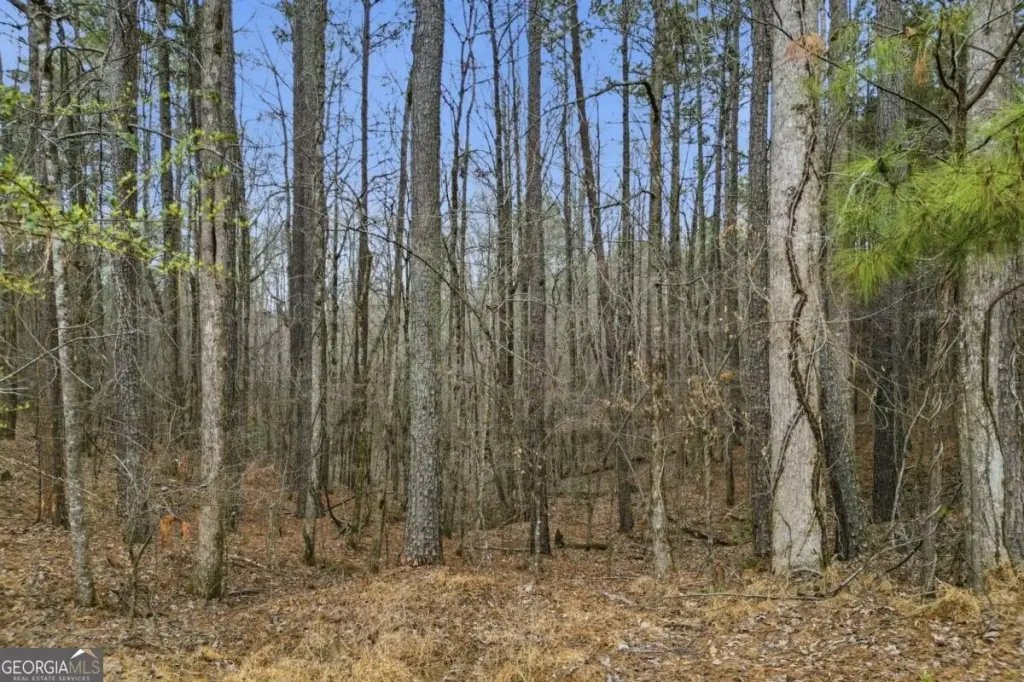 Picture 10