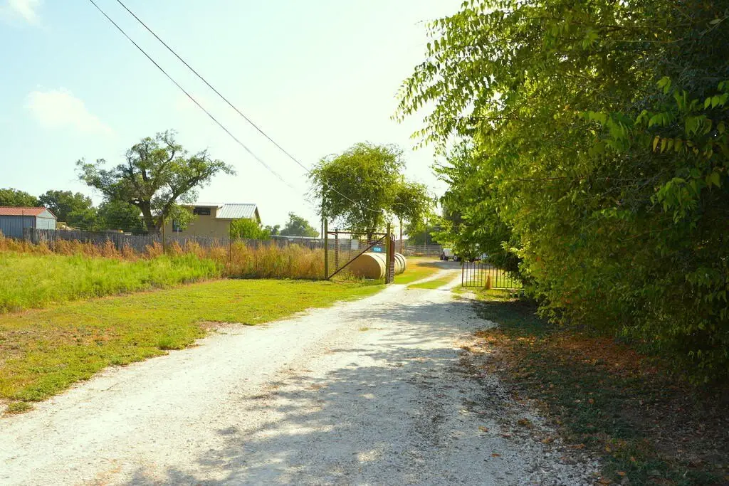 Picture 10