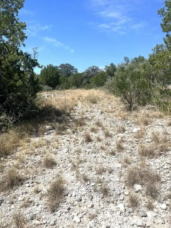 Picture 22