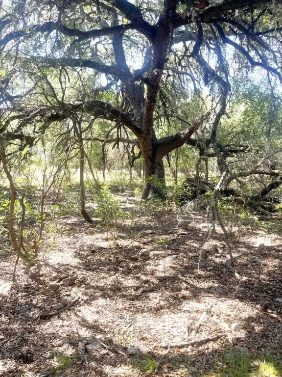 Picture 14