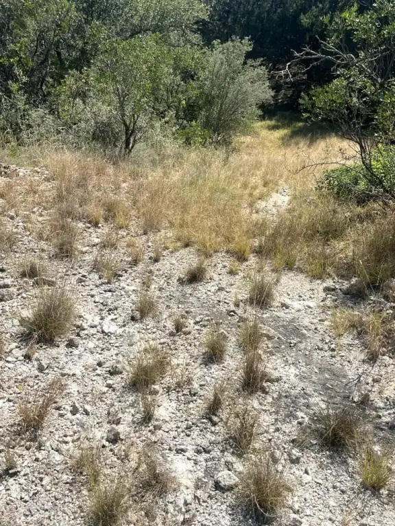 Picture 23