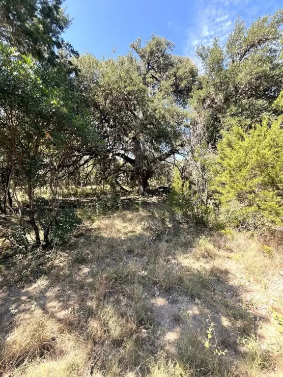 Picture 16