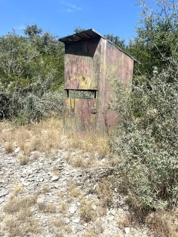 Picture 24
