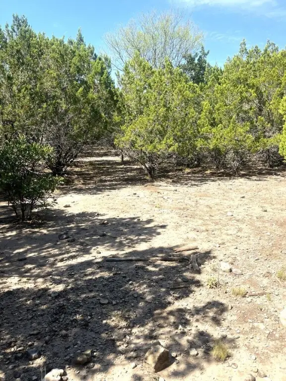 Picture 19