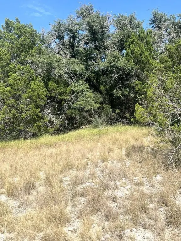 Picture 26