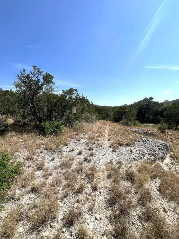 Picture 27