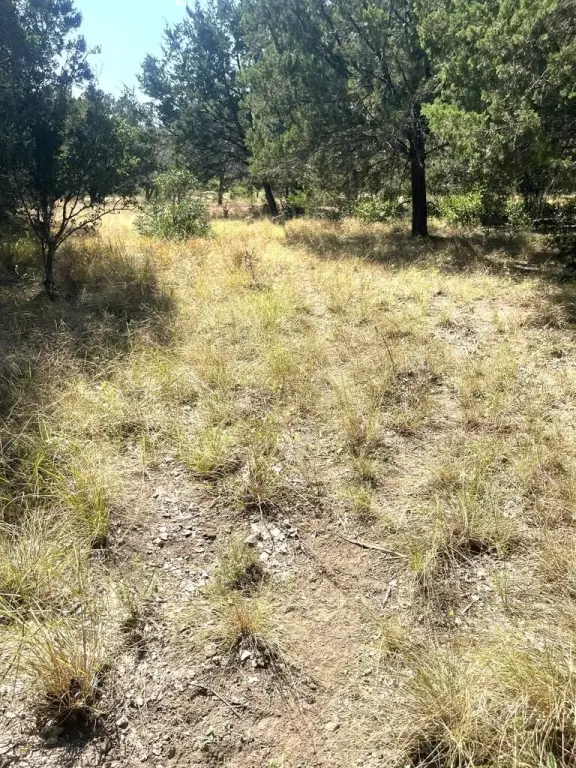 Picture 12