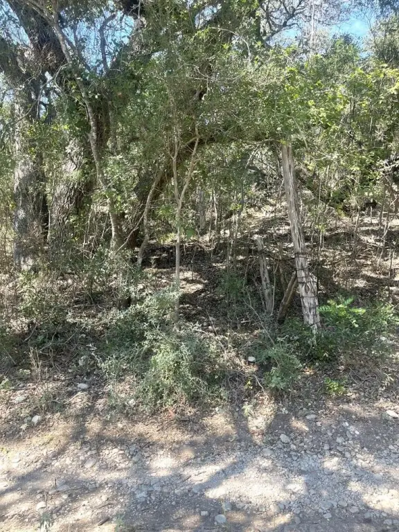 Picture 3