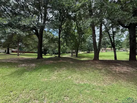 Partially Wooded City Lots