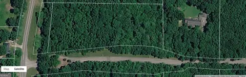 Wooded Lot in Rising Fawn