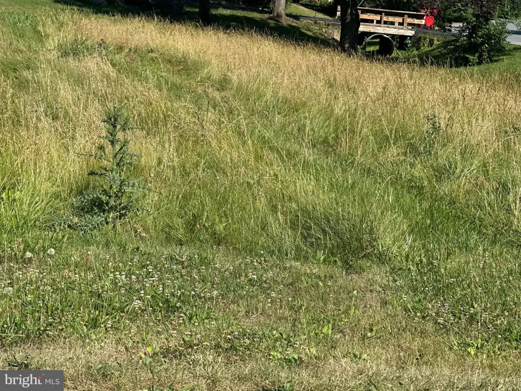 Picture 19