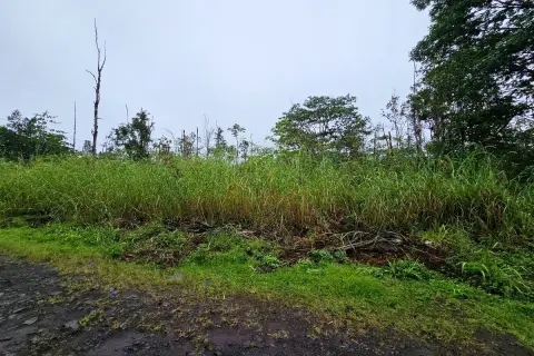 Orchidland Estates Two-Acre Parcel