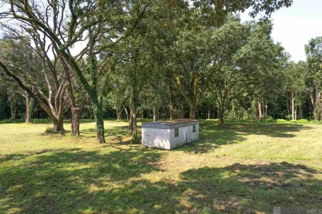 Picture 17
