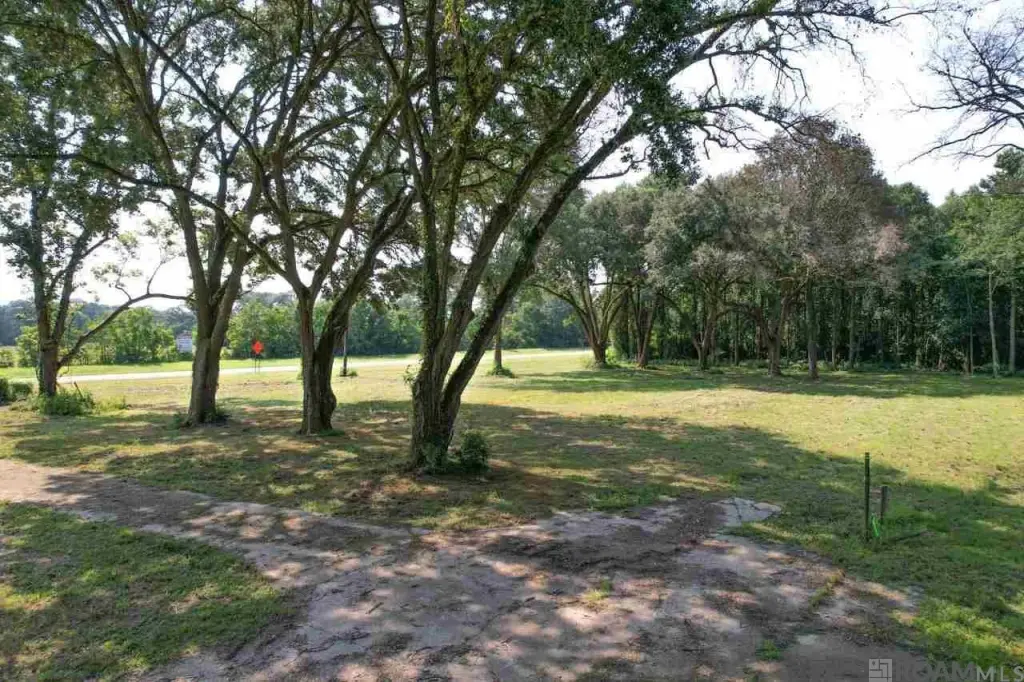 Picture 19