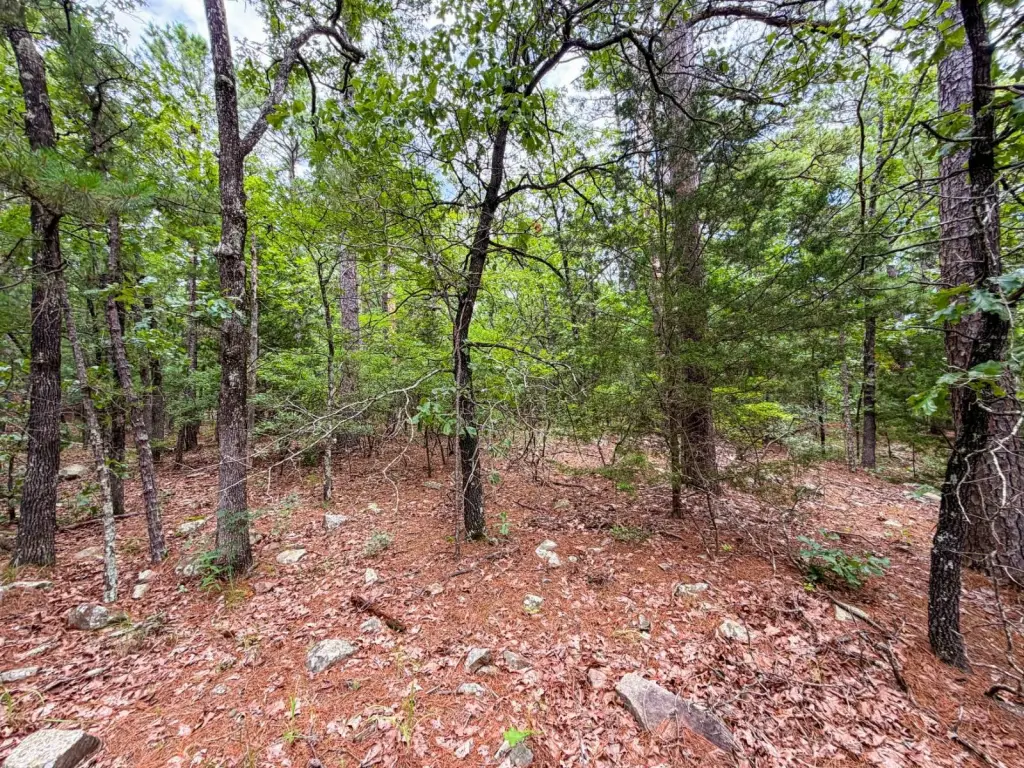 Picture 31