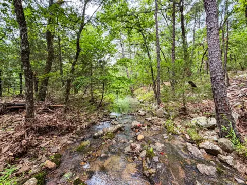 Wooded Hunting and Recreation Land