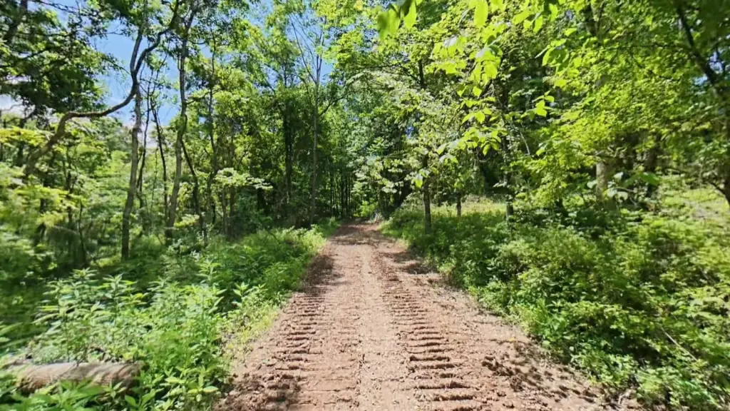 Picture 21