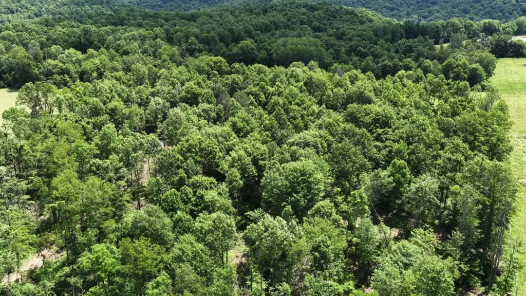 Picture 20