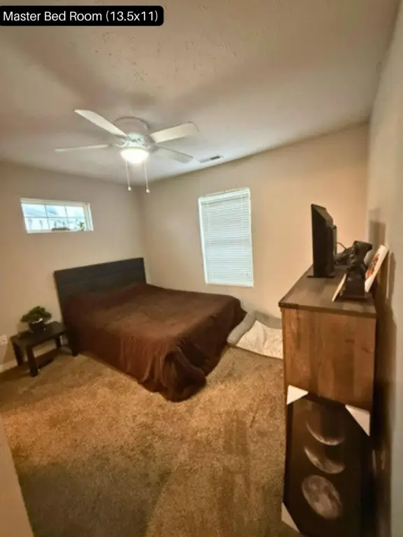Picture 13