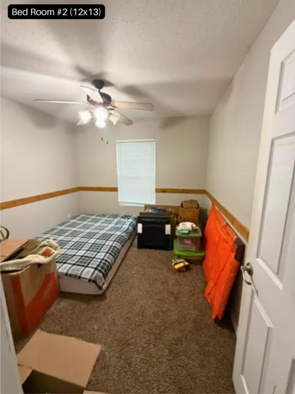 Picture 11