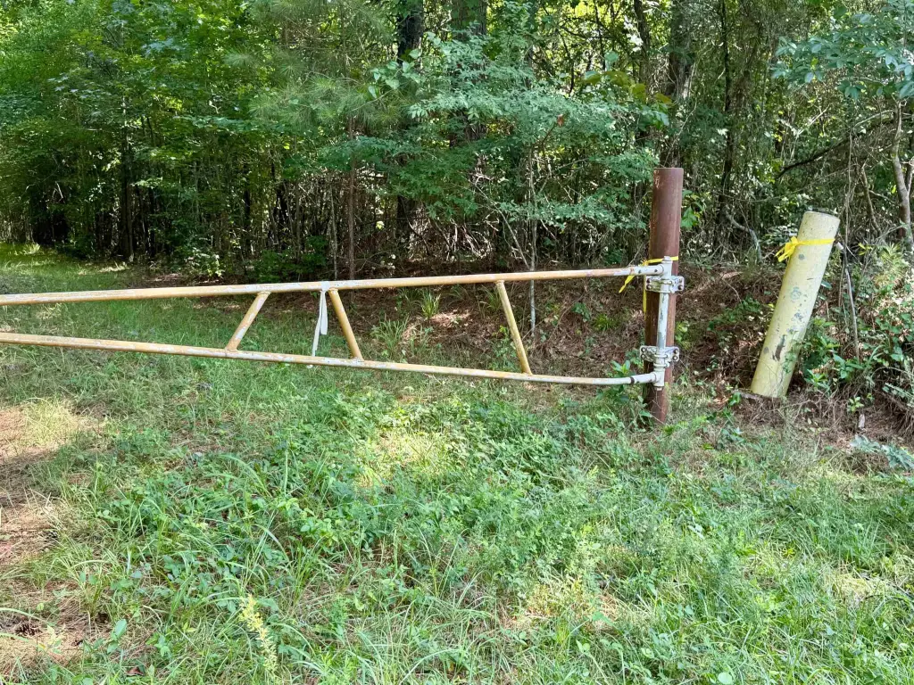 Picture 4