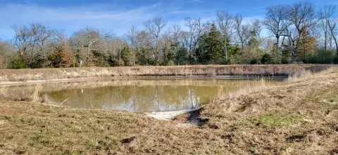 Pickton, TX Unimproved Land