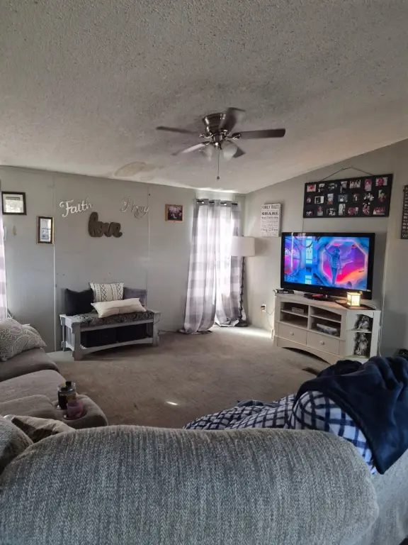 Picture 5