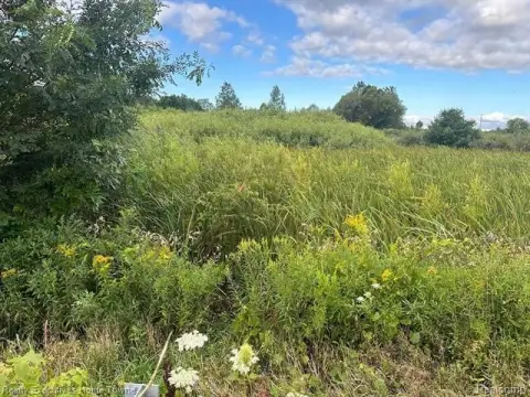 6.5 Acre Lot in Jeddo