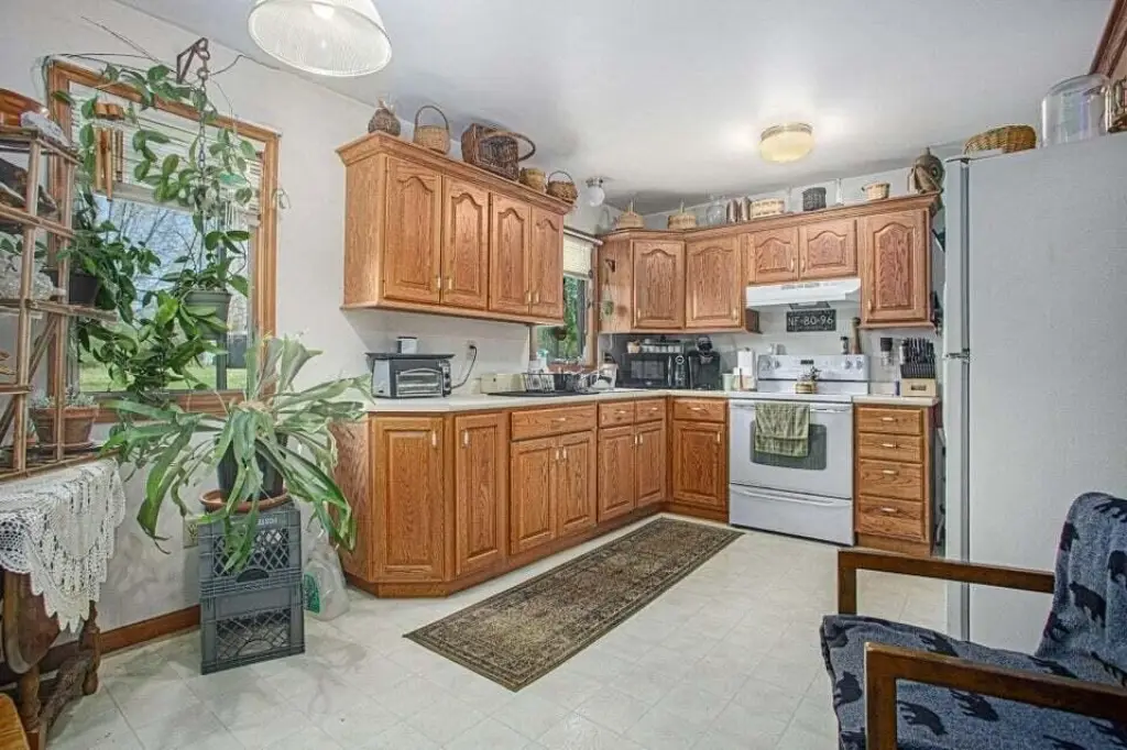Picture 8