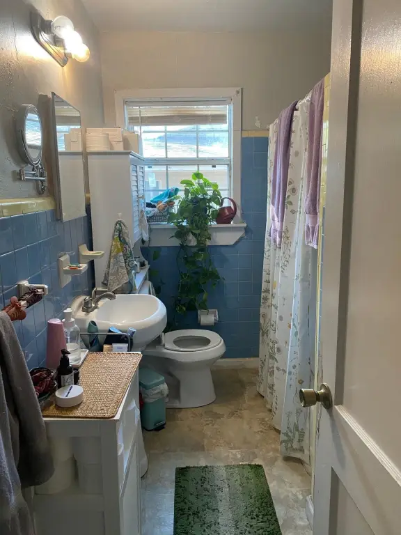 Picture 17